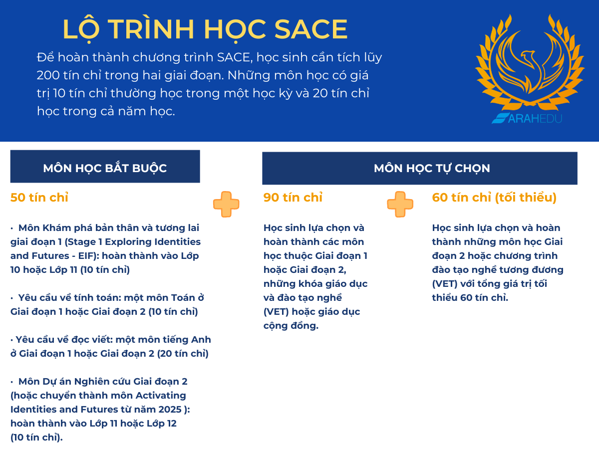 Lựa chọn môn học giai đoạn 1